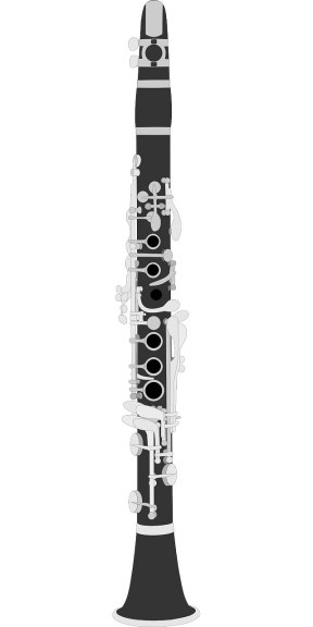 This is a clarinet