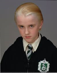 Draco Year 1